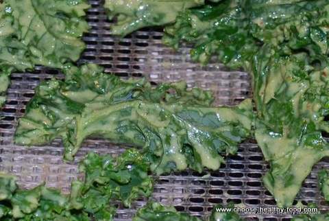 raw organic kale chips in dehydrator