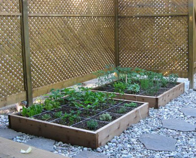 square foot garden boxes